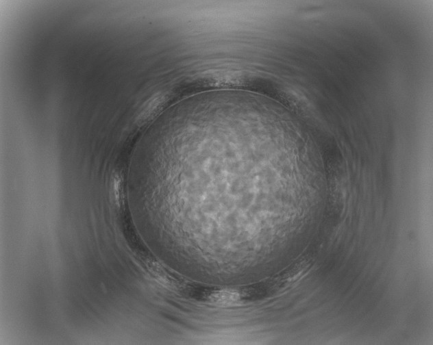 X0000060570123200511171641