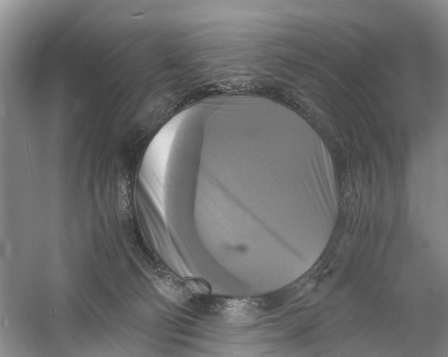 X0000060570130200511171641