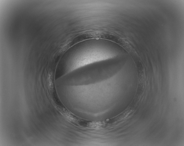 X0000060570131200511171641