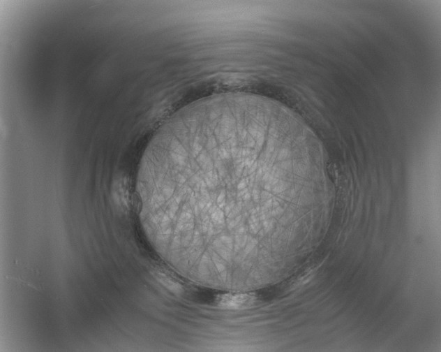 X0000060570135200511171641