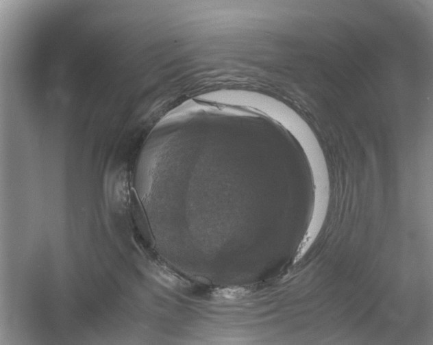 X0000060570137200511171641