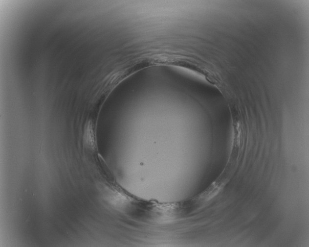 X0000060570143200511171641