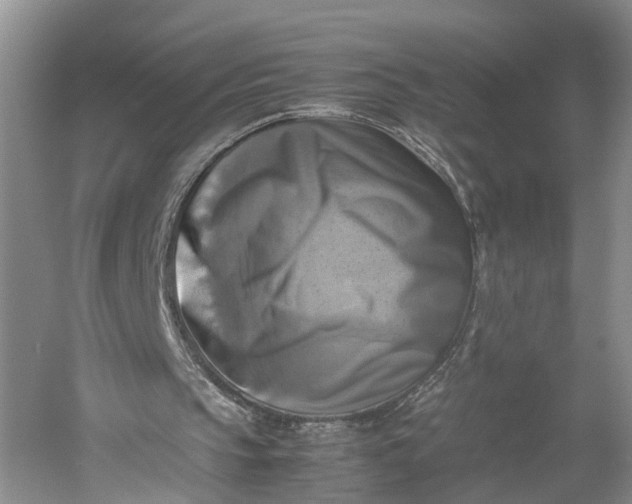 X0000060570145200511171640