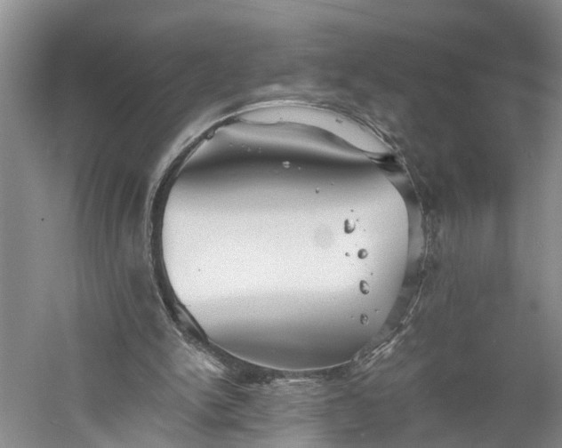 X0000060570150200511171640