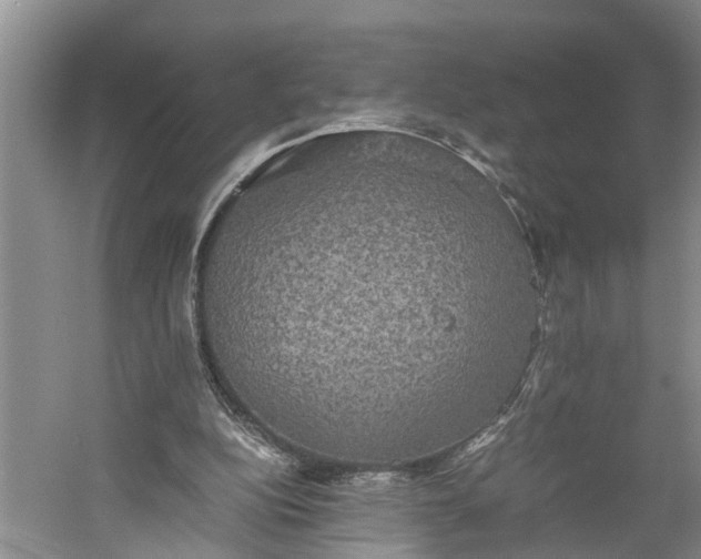 X0000060570152200511171640