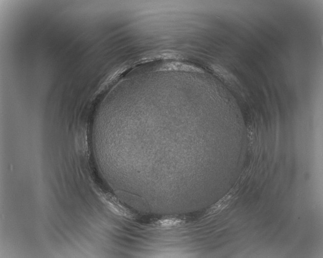 X0000060570158200511171640