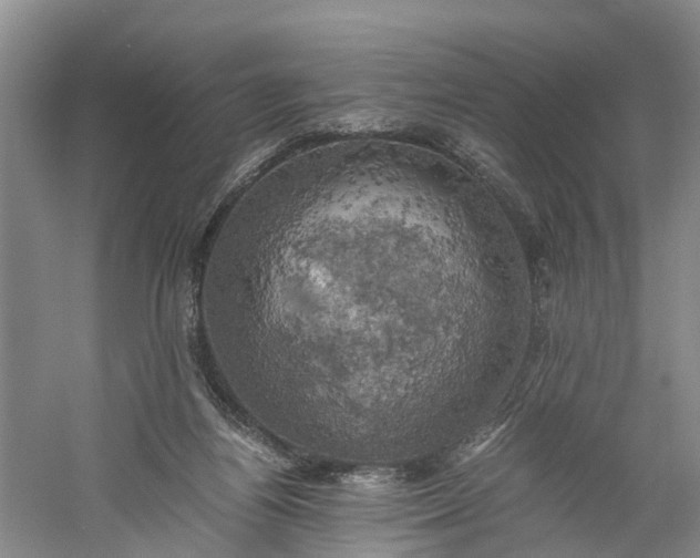 X0000060570164200511171641