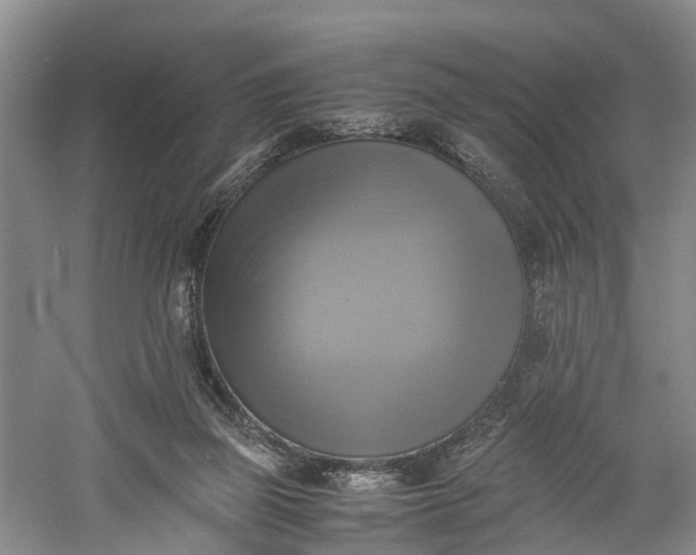 X0000060570165200511171641