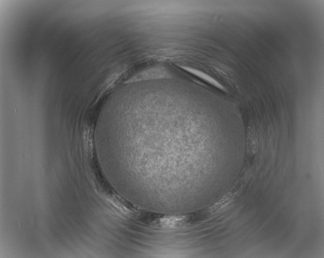 X0000060570172200511171641