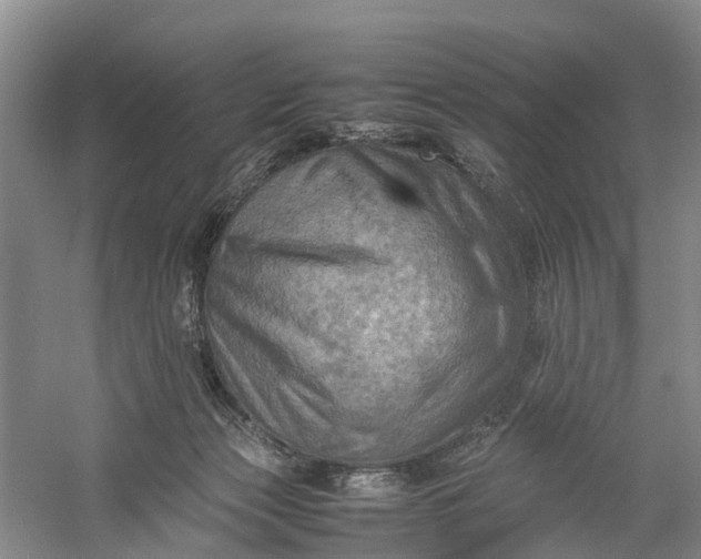 X0000060570173200511171641