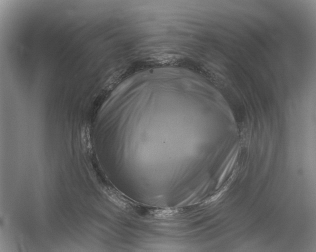 X0000060570182200511171641