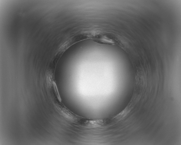 X0000060570188200511171641