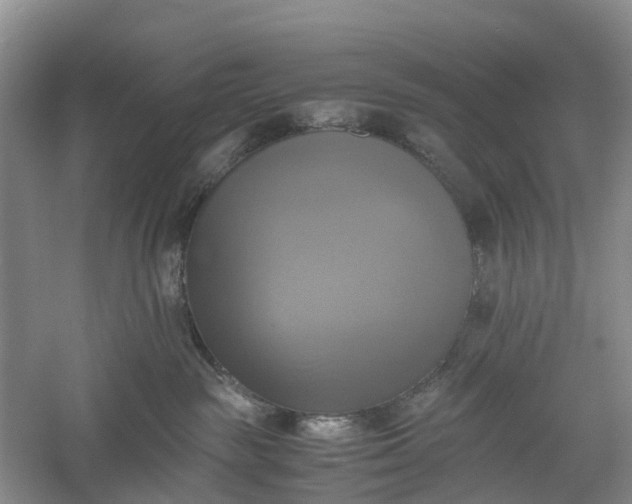 X0000060570189200511171641