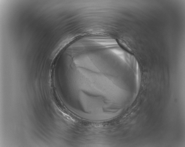 X0000060570194200511171640