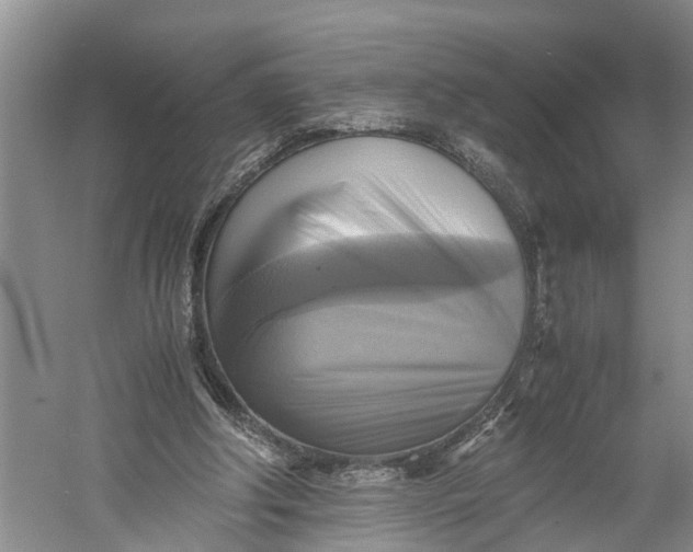 X0000060570202200511171640