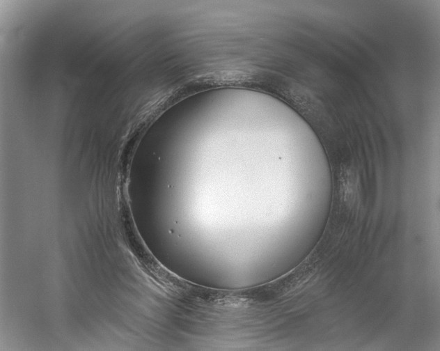 X0000060570206200511171640