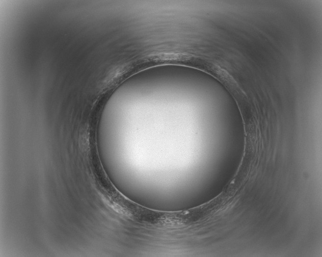 X0000060570207200511171640