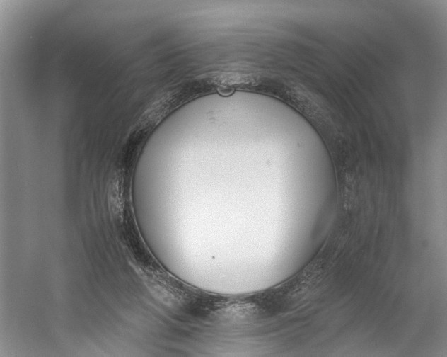 X0000060570210200511171640