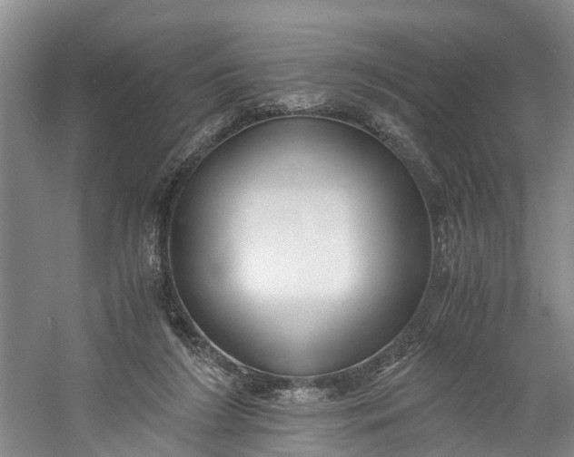 X0000060570212200511171640