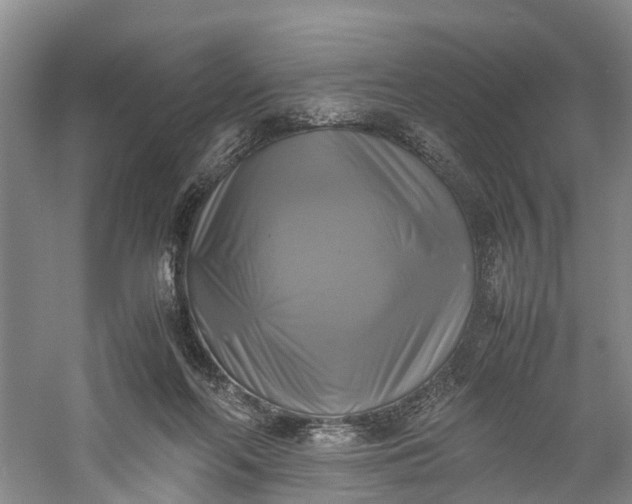 X0000060570214200511171640