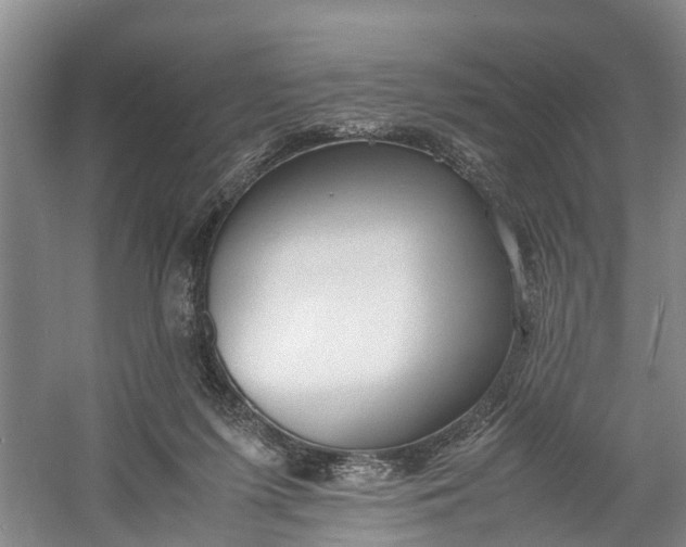 X0000060570215200511171640
