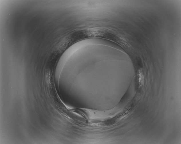 X0000060570219200511171640