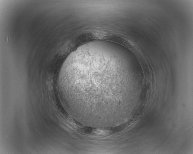 X0000060570221200511171640
