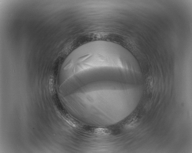 X0000060570222200511171640