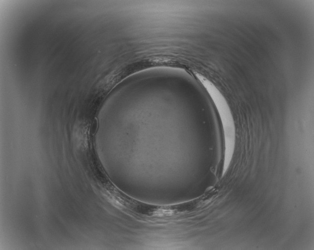 X0000060570227200511171640
