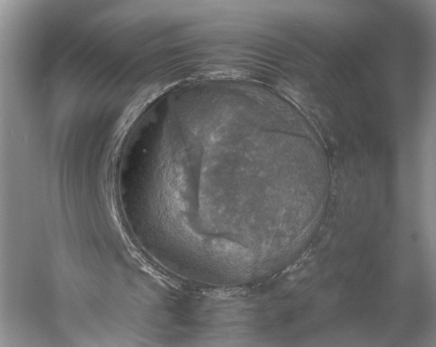 X0000060570241200511171639