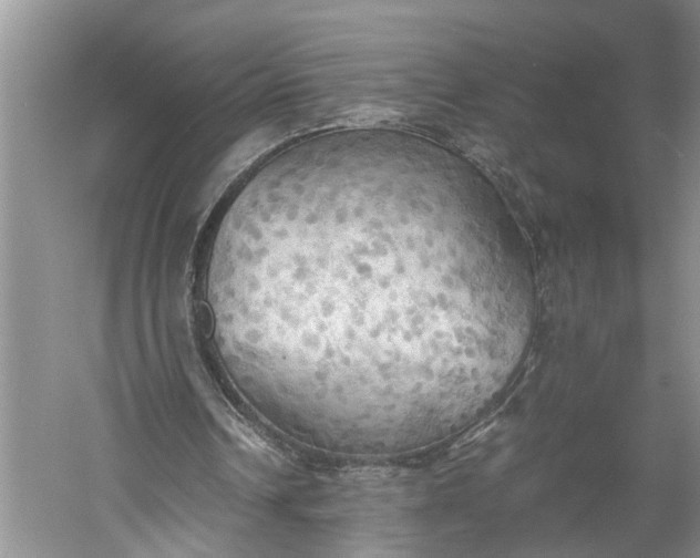 X0000060570242200511171639