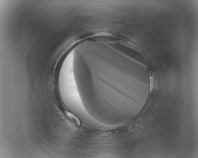 X0000060570243200511171639