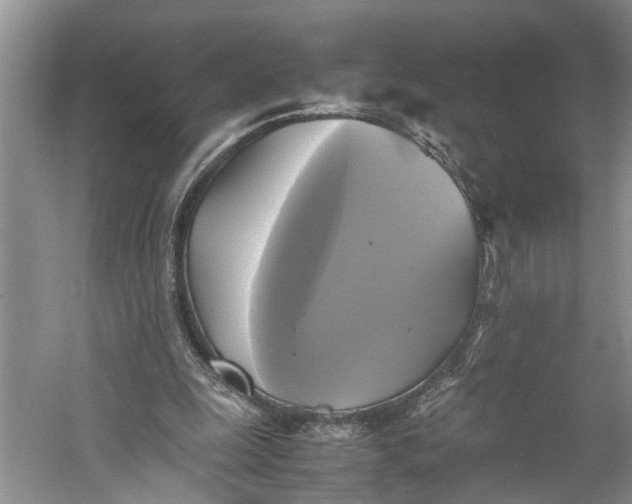 X0000060570247200511171639