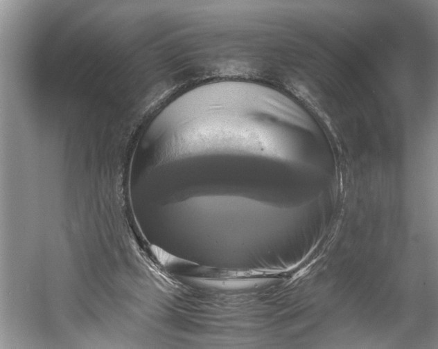 X0000060570249200511171639