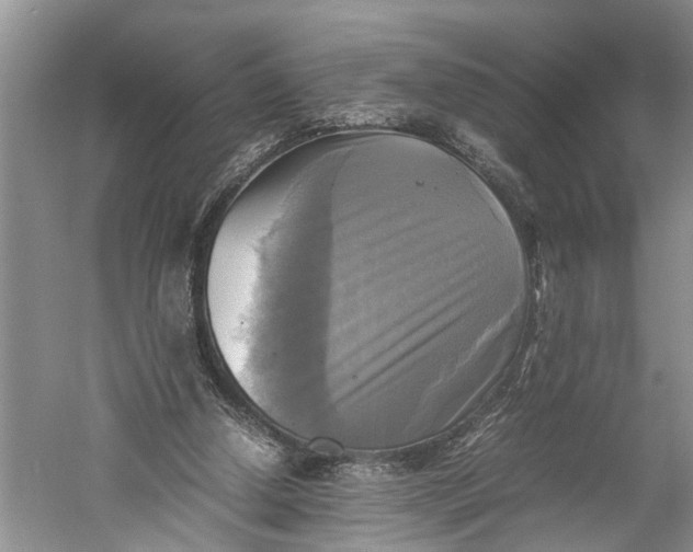 X0000060570250200511171639