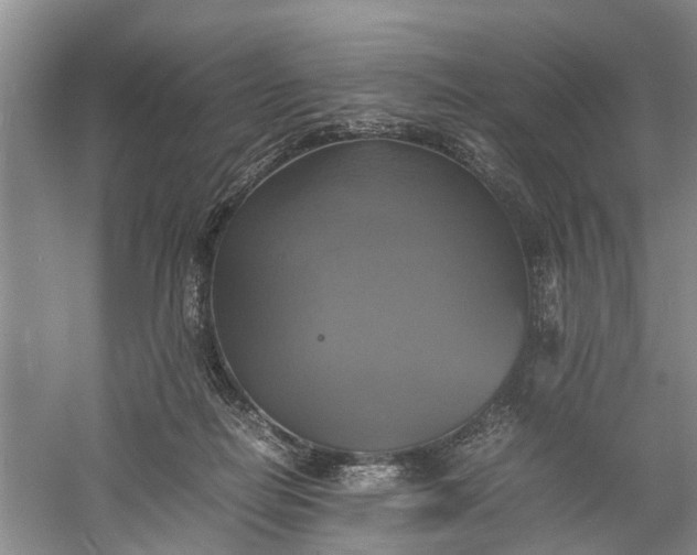X0000060570266200511171639