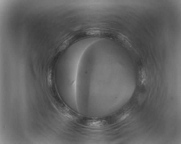 X0000060570267200511171639