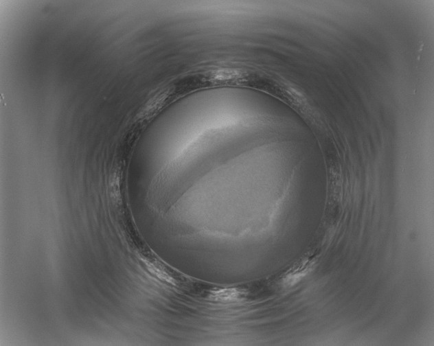 X0000060570269200511171639