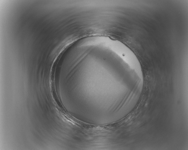 X0000060570290200511171639