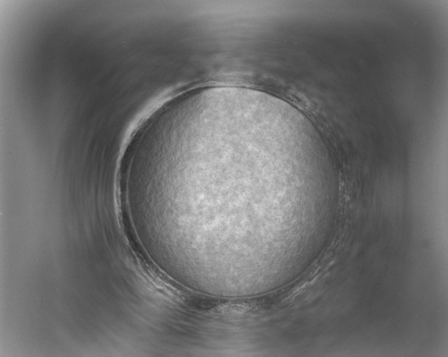 X0000060570294200511171638