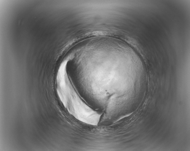 X0000060570297200511171638
