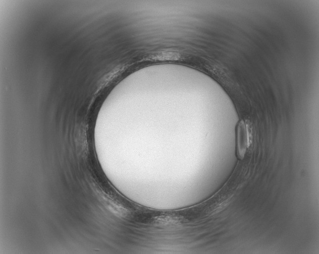 X0000060570300200511171638