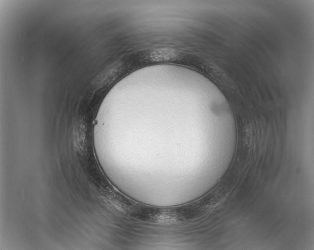 X0000060570308200511171638