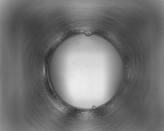 X0000060570310200511171638