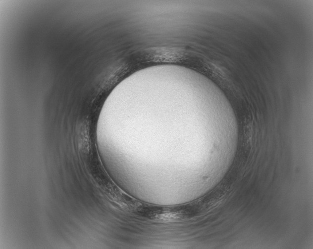 X0000060570312200511171638