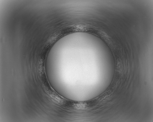 X0000060570318200511171638