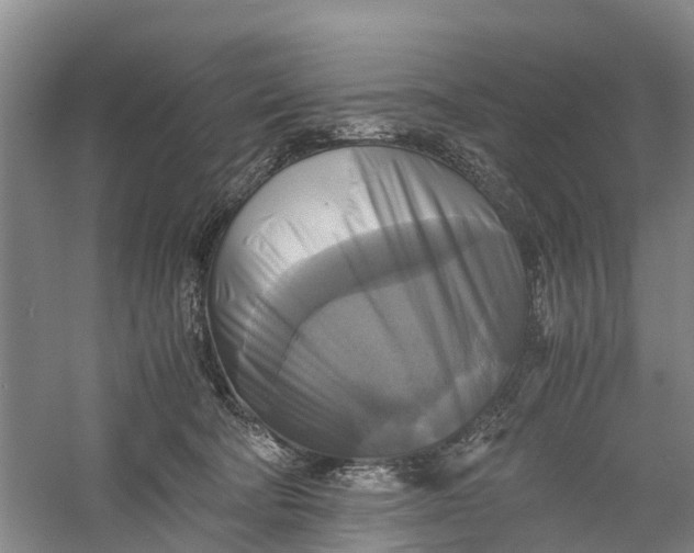 X0000060570322200511171638