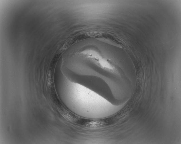 X0000060570323200511171638