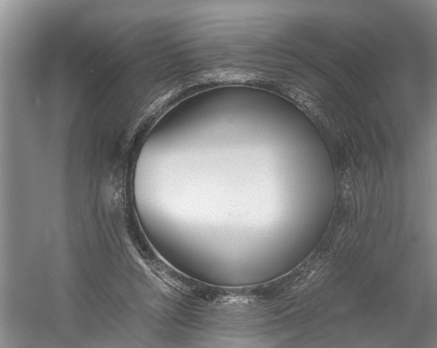 X0000060570352200511171637