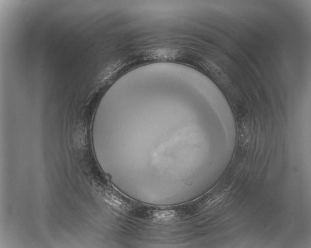 X0000060570355200511171637
